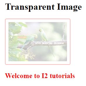 CSS Images