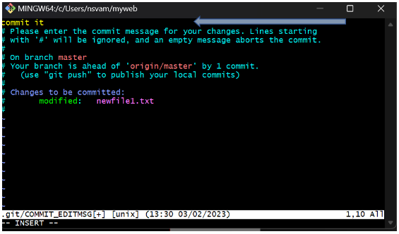 Git Local Repository