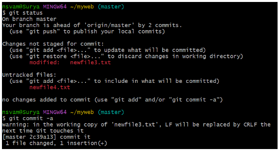 Git Local Repository