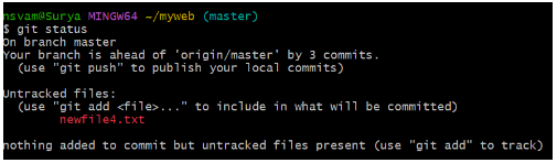 Git Local Repository